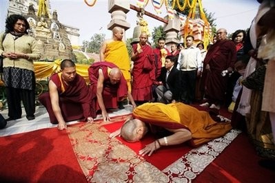 lama 1.jpg