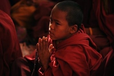 lama4.jpg