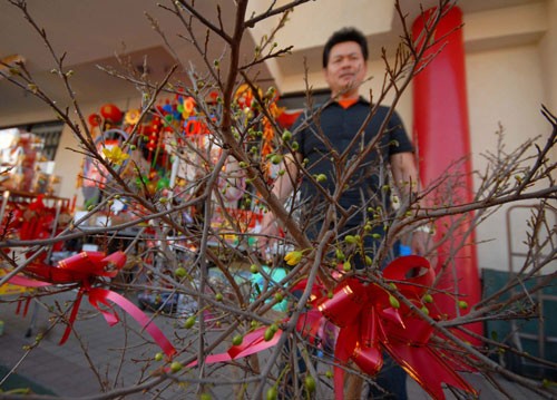 Cali chuẩn bị đón Tết ảnh 10