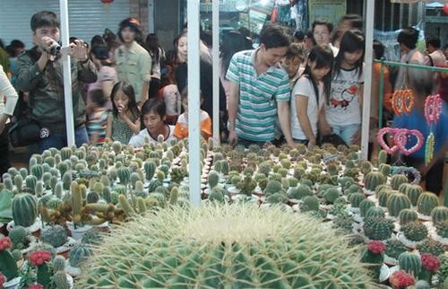 Người dân tham quan, mua sắm các gian hàng hoa kiểng ngày tết - Ảnh: Thanh Xuân Người dân tham quan, mua sắm các gian hàng hoa kiểng ngày tết - Ảnh: Thanh Xuân
