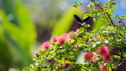 Ăn Tết ba miền trong Một thoáng Việt Nam ảnh 11 Ăn Tết ba miền trong Một thoáng Việt Nam ảnh 11