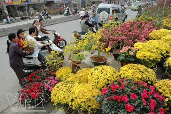 Sắc màu chợ hoa ảnh 7