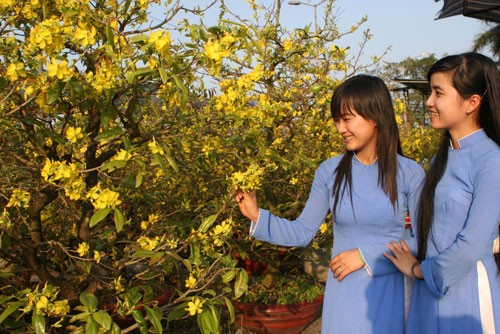 Vào chợ hoa vàng ảnh 1