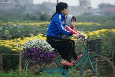 Nhọc lắm làng hoa! ảnh 8 Nhọc lắm làng hoa! ảnh 8