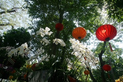 Hội Hoa Xuân lớn nhất ảnh 8