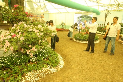 Hội Hoa Xuân lớn nhất ảnh 13