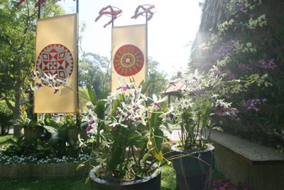 Hội Hoa Xuân lớn nhất ảnh 14