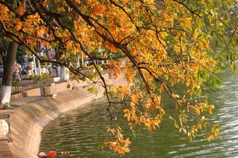 Con đường ven hồ đẹp như trong những câu chuyện cổ tích Con đường ven hồ đẹp như trong những câu chuyện cổ tích
