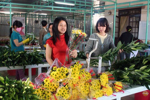 Đà Lạt: Sôi động thị trường hoa Tết ảnh 5 Đà Lạt: Sôi động thị trường hoa Tết ảnh 5