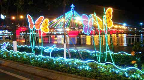 'Thành phố ánh sáng' bên sông Hàn ảnh 6 Đàn bướm bên sông Hàn