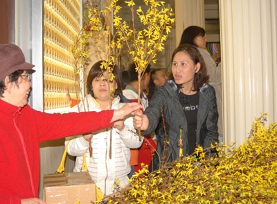 Đón giao thừa ở Nam California ảnh 4