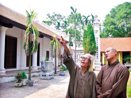 Bức tượng Thánh Dóng cổ cao nhất nước Việt ảnh 4