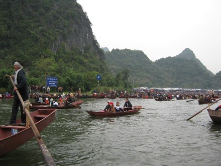 chuahoi _02.jpg