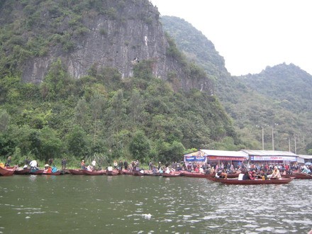 chuahoi _03.jpg