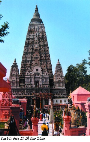 Hòa thượng Thích Chơn Thiện: Tỏa sáng trí tuệ, niềm tin và văn hóa ảnh 3 Hòa thượng Thích Chơn Thiện: Tỏa sáng trí tuệ, niềm tin và văn hóa ảnh 3