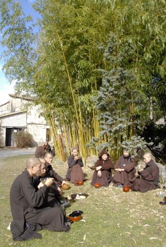 08. An trua picnic.jpg