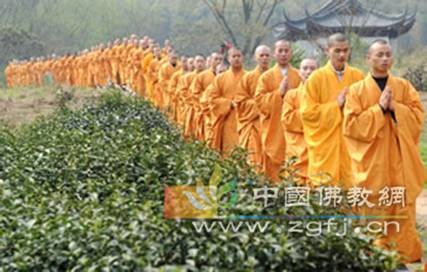 Trung Quốc: Chư tăng Thiền tự Pháp Tịnh - Hàng Châu, thu hoạch "Thiền Trà" theo nghi lễ Phật giáo ảnh 13 tradao 12.jpg
