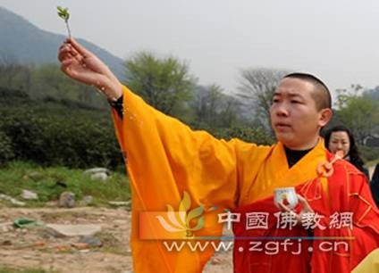 Trung Quốc: Chư tăng Thiền tự Pháp Tịnh - Hàng Châu, thu hoạch "Thiền Trà" theo nghi lễ Phật giáo ảnh 5 tradao 5.jpg