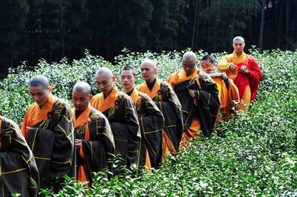 Trung Quốc: Chư tăng Thiền tự Pháp Tịnh - Hàng Châu, thu hoạch "Thiền Trà" theo nghi lễ Phật giáo ảnh 8 tradao 8.jpg