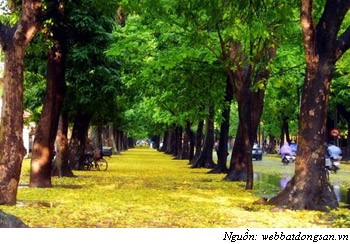 1000 năm Thăng Long - Hà Nội và Phật giáo Việt Nam - Bài 1: Dời đô và dấu ấn thiền sư ảnh 1 1000 năm Thăng Long - Hà Nội và Phật giáo Việt Nam - Bài 1: Dời đô và dấu ấn thiền sư ảnh 1