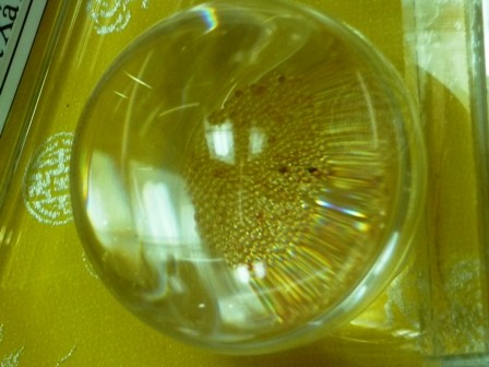 Khánh Hòa: Chiêm bái xá lợi Phật tại Ni viện Diệu Quang ảnh 3 Khánh Hòa: Chiêm bái xá lợi Phật tại Ni viện Diệu Quang ảnh 3