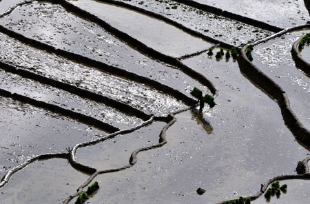 Ngắm Sapa trong vụ cấy mới ảnh 2