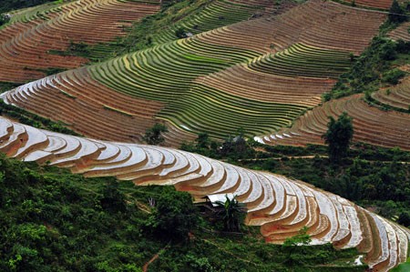 Ngắm Sapa trong vụ cấy mới ảnh 4