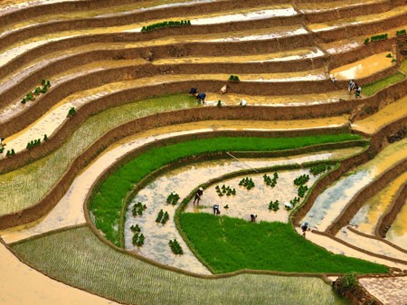Ngắm Sapa trong vụ cấy mới ảnh 9