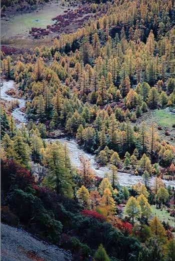 Shangrila – Đường chân trời đã mất ảnh 1 Shangrila - Đường chân trời đã mất - Tin180.com (Ảnh 1)