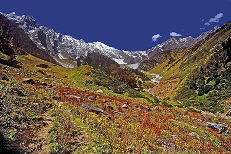 Shangrila – Đường chân trời đã mất ảnh 2 Shangrila - Đường chân trời đã mất - Tin180.com (Ảnh 2)