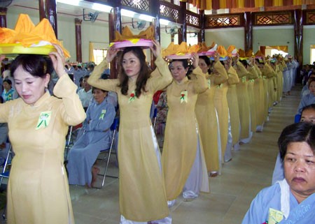 vlpq2010-30.jpg
