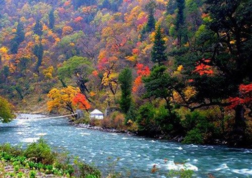 Lá phong đỏ trên núi Hương Sơn, Bắc Kinh. Ngắm lá bulo vàng rực vào cuối tháng 9, đầu tháng 10 ở vùng đồng cỏ Bá Thượng, tỉnh Hồ Bắc. Tới núi Tê Hà, Giang Tô, ngắm rừng phong đỏ rực vào cuối tháng 11, đầu tháng 12. Công viên rừng quốc gia ở Quảng Đông cũng là địa điểm thú vị để ngắm lá phong. Làng Changxi, huyện Vụ Nguyên, Giang Tây có vẻ đẹp ấn tượng của lá phong đỏ đối lập với vẻ cổ kính của những ngôi nhà theo kiến trúc Hồi. Khoảng tháng 12, rừng cây bạch quả chuyển màu vàng rượi tại làng Haiyang, tỉnh Quảng Tây. Miyaluo ở tỉnh Tứ Xuyên cũng là nơi tuyệt vời để ngắm lá phong, lá bulo, vào khoảng tháng 11 và 12. Thung lũng Jiuzhai, Tứ Xuyên có cảnh đẹp quyến rũ bởi màu sắc đối lập giữa lá phong đỏ và nước hồ trong xanh. Thời điểm lý tưởng nhất để ngắm cảnh là vào tháng 11. Rừng cây dương chuyển vàng rực vào tháng 11 ở Ejinaqi, Nội Mông.