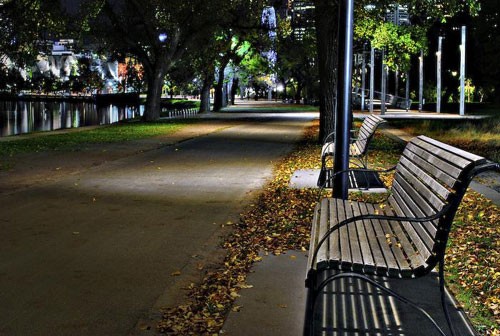 Con đường ngập lá vàng. Cây lá thay màu. Mặt hồ êm ả... Đẹp và lãng mạn... Một chút cô liêu. Rừng cây ngập lá. Vàng rực sắc thu
