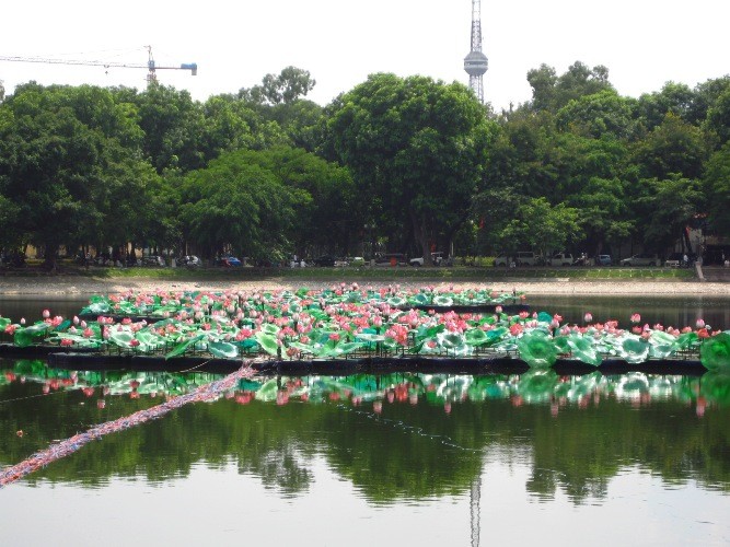 1.000 bông sen kết hình chữ S ảnh 4 Hệ thống chằng chịt dây điện màu được dẫn từ bờ…