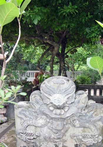 Đẹp mê hồn như chùa Bà Đanh ảnh 7 Đẹp mê hồn như chùa Bà Đanh ảnh 7