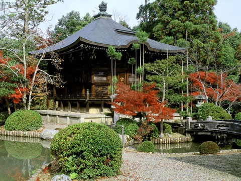 Thăm cố đô Kyoto, Nhật Bản