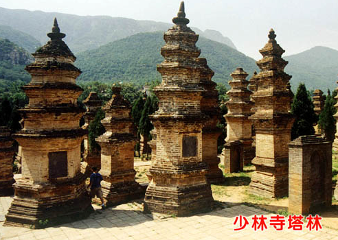 trungquoc 3.png