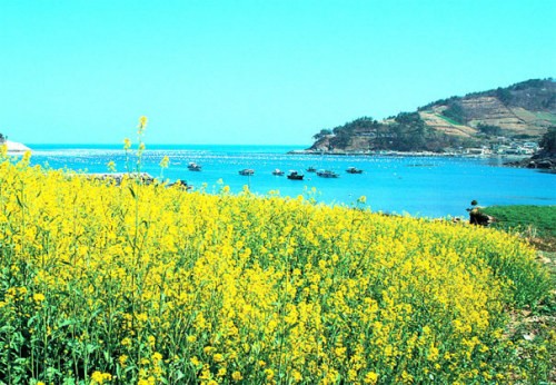 Từ nay người biết thương người ảnh 1 Từ nay người biết thương người ảnh 1