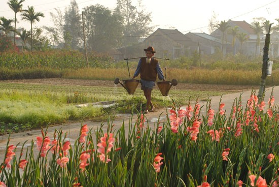 Lạc vào vương quốc hoa Hội An ảnh 6 Lạc vào vương quốc hoa Hội An ảnh 6