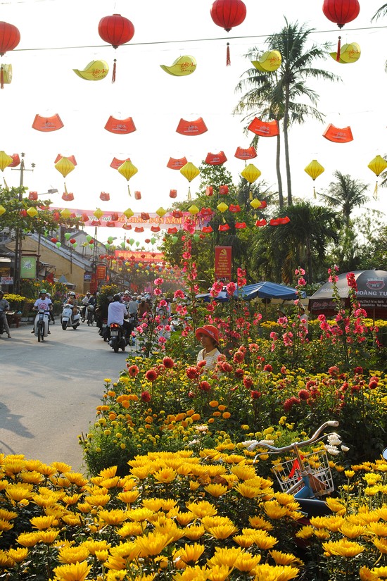 Lạc vào vương quốc hoa Hội An ảnh 16 Lạc vào vương quốc hoa Hội An ảnh 16