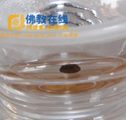 Trung Quốc: Xá lợi chân thân Phật Tổ tổ chức tại Đại Từ Các, tỉnh Hà Bắc ảnh 7 xaloi 7.png