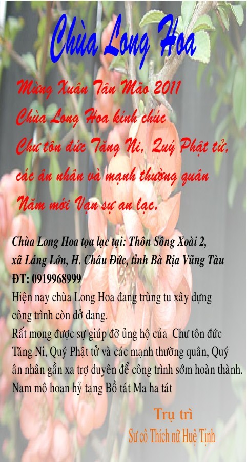 chua long hoa.jpg
