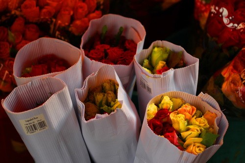 Muôn sắc màu những nụ Tầm xuân ảnh 21