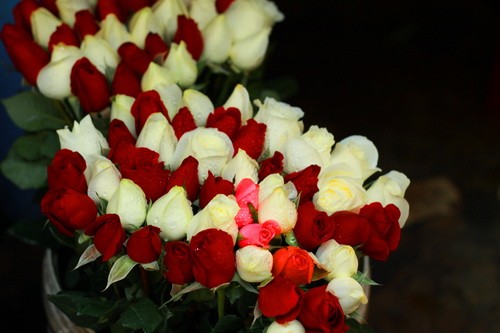 Muôn sắc màu những nụ Tầm xuân ảnh 18