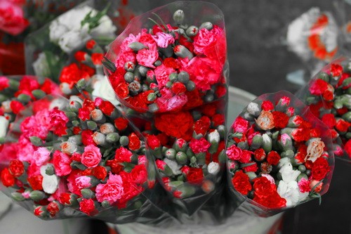 Muôn sắc màu những nụ Tầm xuân ảnh 15