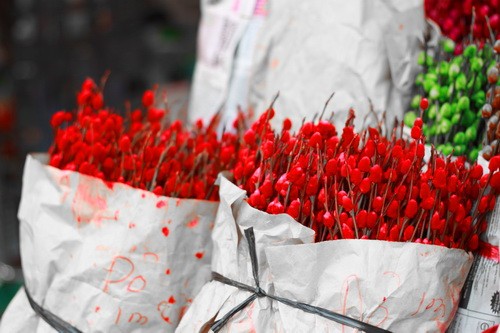 Muôn sắc màu những nụ Tầm xuân ảnh 2