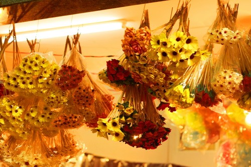 Muôn sắc màu những nụ Tầm xuân ảnh 11