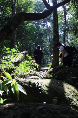 Những lý do để chinh phục Yên Tử từ phía Tây ảnh 1 Những lý do để chinh phục Yên Tử từ phía Tây, Du lịch, Yên Tử, cụ rùa đá, cáp treo, chùa đồng, đỉnh núi