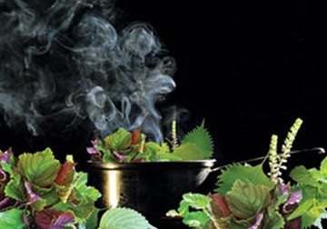 Những nồi nước lá xông... ảnh 1