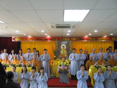 daotrang 1.jpg